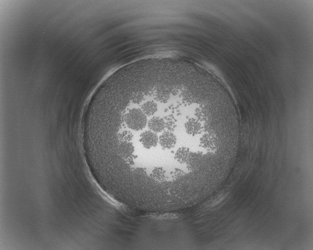 X0000063520851200602032108