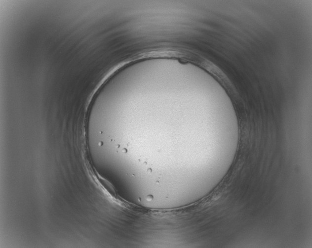 X0000063520852200602032108