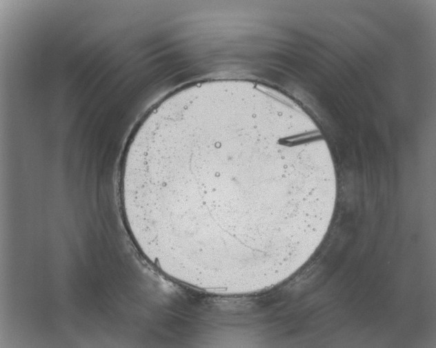 X0000063520856200602032108