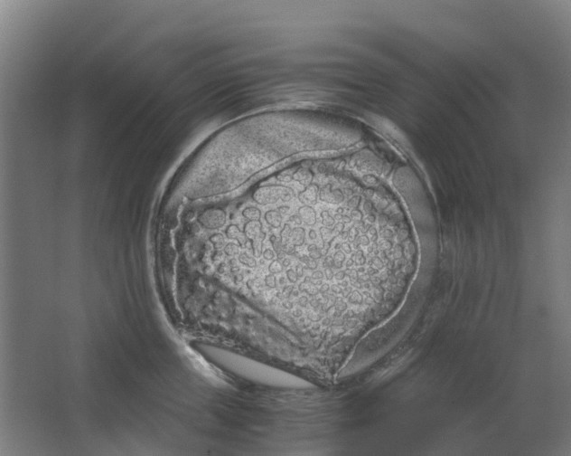 X0000063520859200602032108