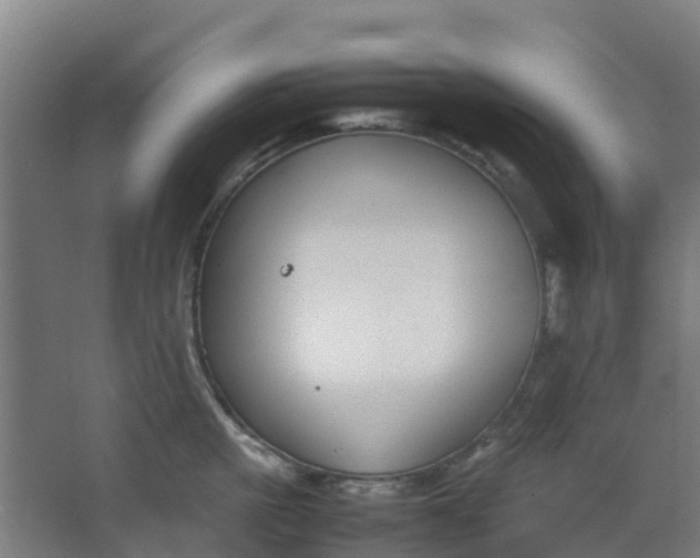 X0000063520861200602032108