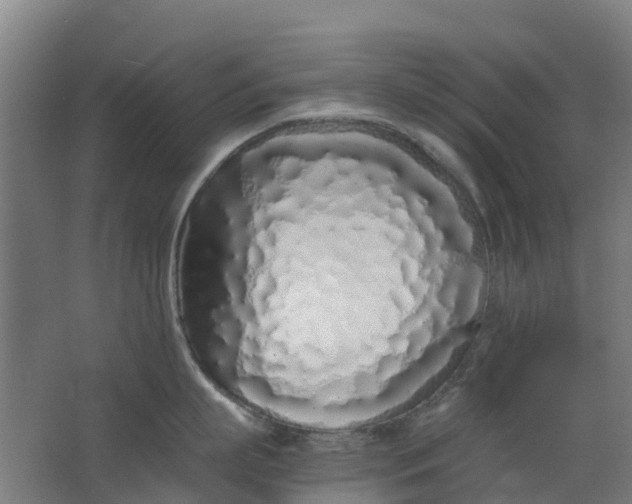 X0000063520863200602032108