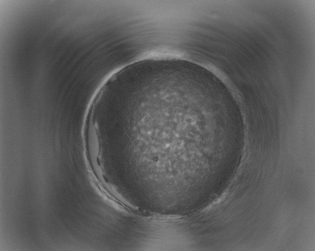 X0000063520864200602032108