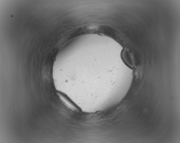 X0000063520867200602032107