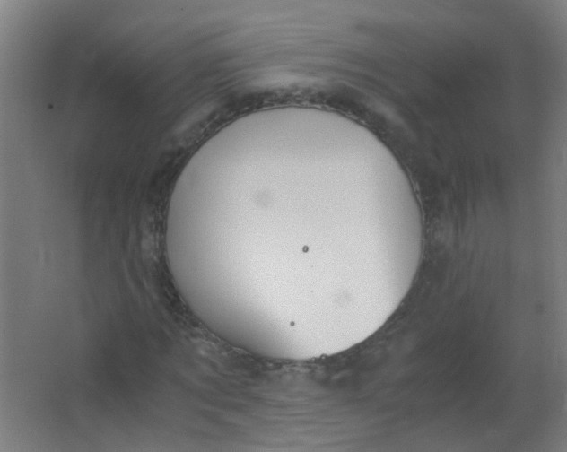 X0000063520869200602032107