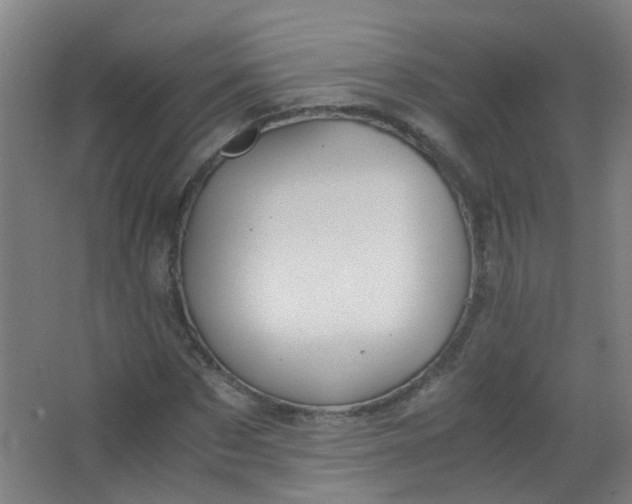 X0000063520873200602032107