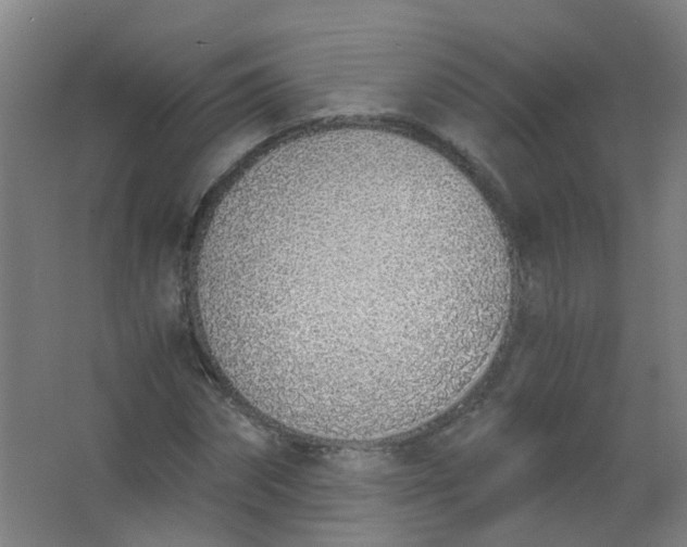 X0000063520874200602032107