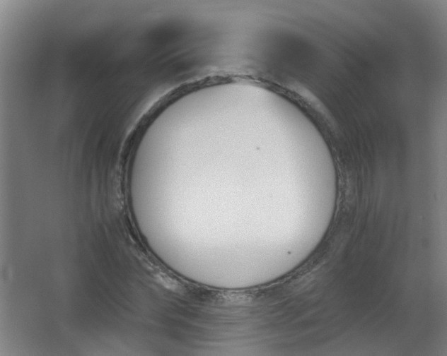 X0000063520878200602032107