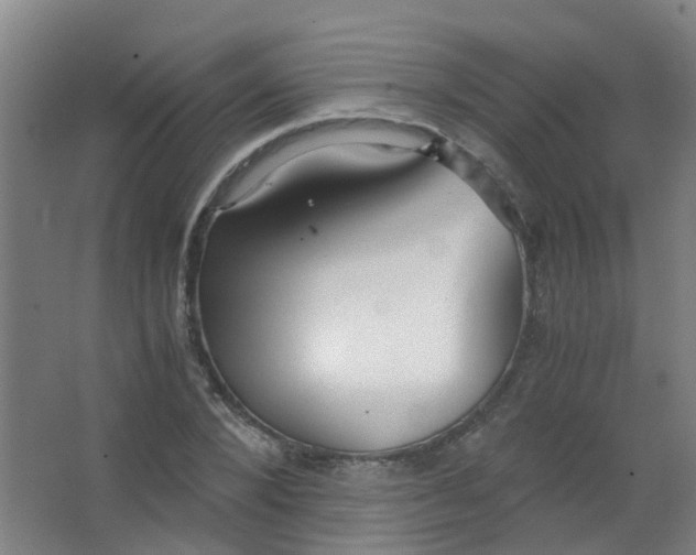 X0000063520880200602032107