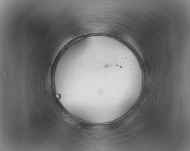 X0000063520883200602032107