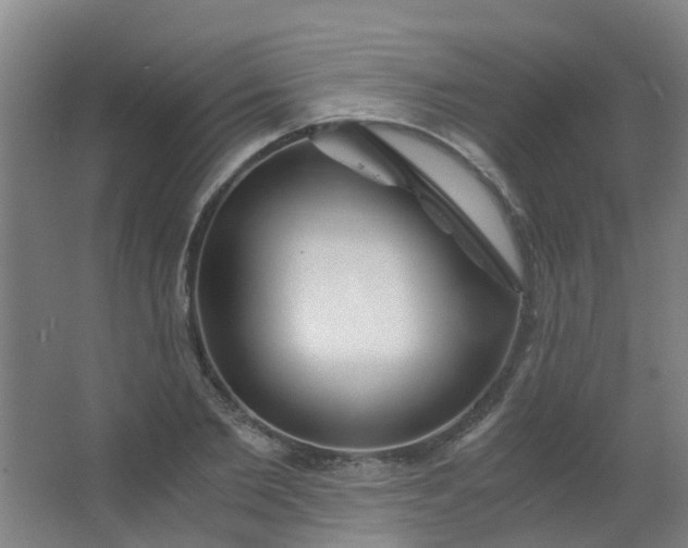 X0000063520885200602032107