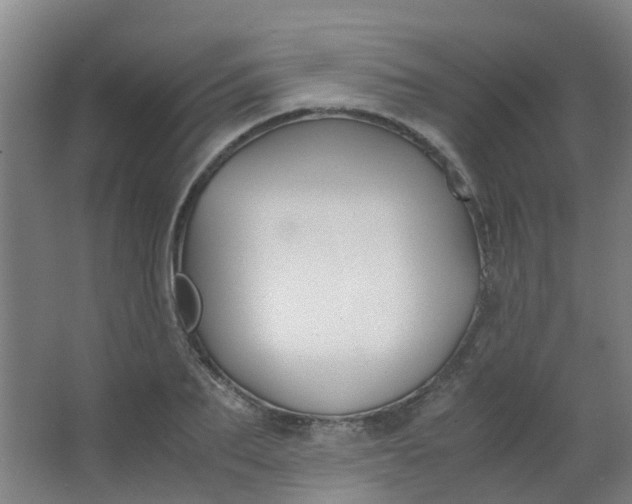 X0000063520887200602032107