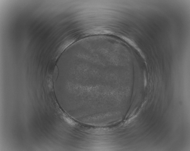 X0000063520889200602032107