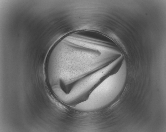 X0000063520892200602032107