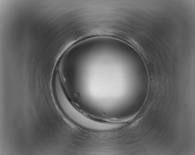 X0000063520893200602032107