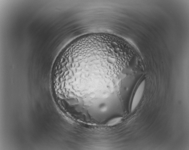 X0000063520895200602032107