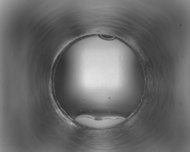 X0000063520896200602032107