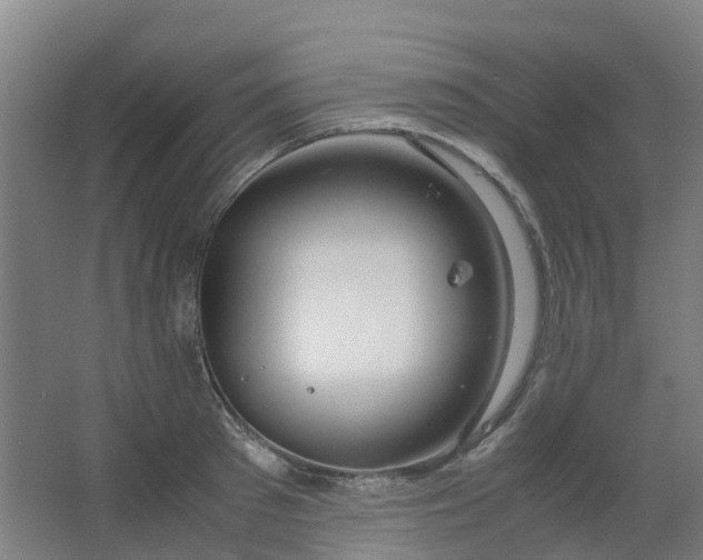 X0000063520897200602032107