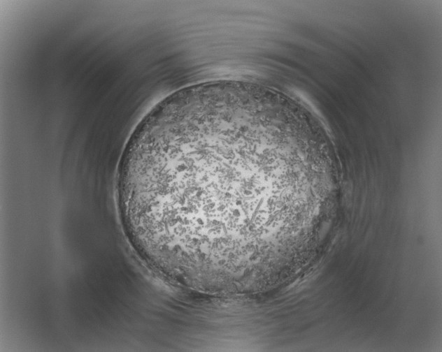 X0000063520899200602032107