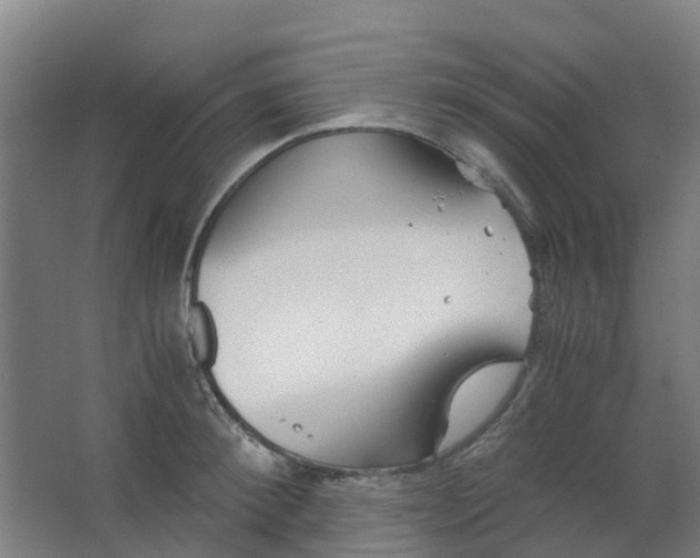 X0000063520900200602032107