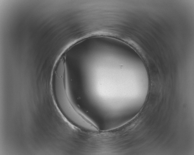 X0000063520902200602032107