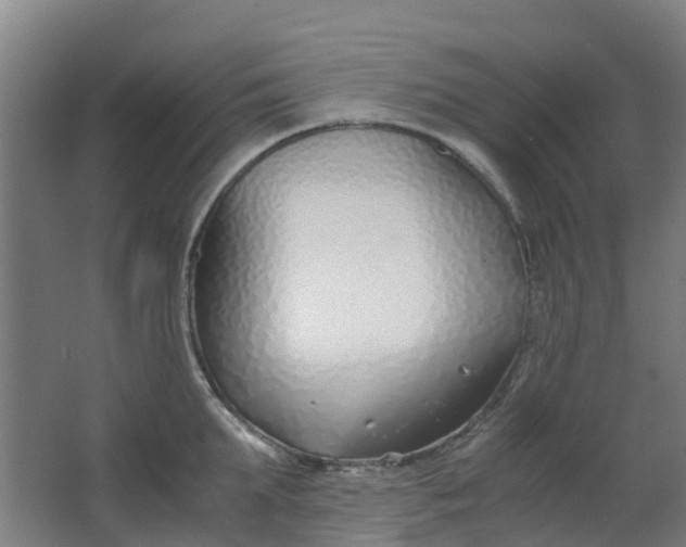 X0000063520903200602032107