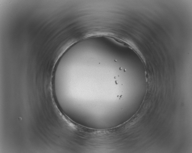 X0000063520906200602032107