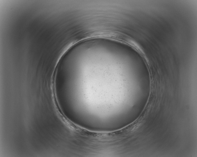 X0000063520907200602032107