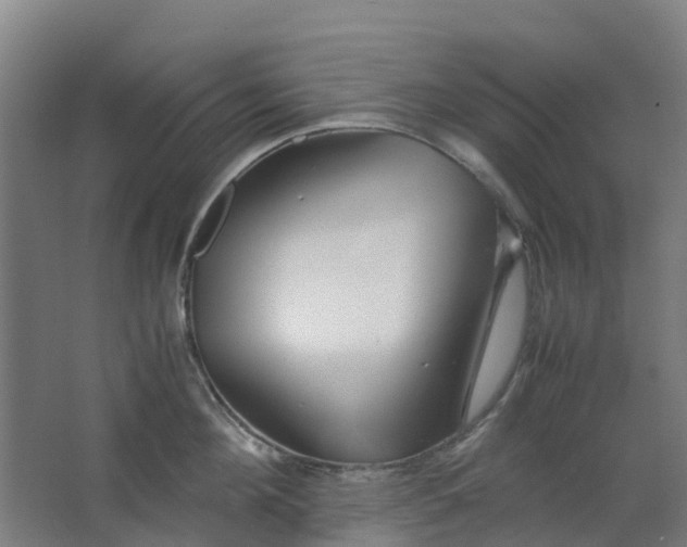 X0000063520908200602032107