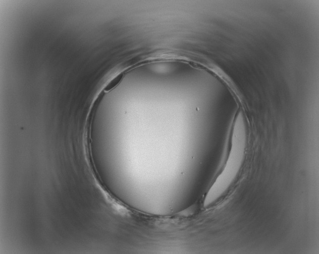 X0000063520909200602032107