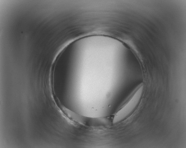 X0000063520910200602032107