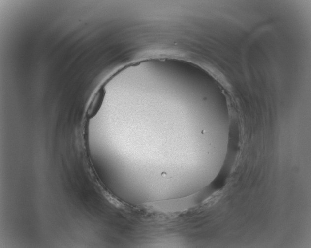 X0000063520912200602032106