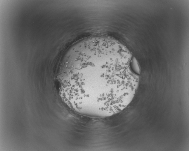 X0000063520913200602032106