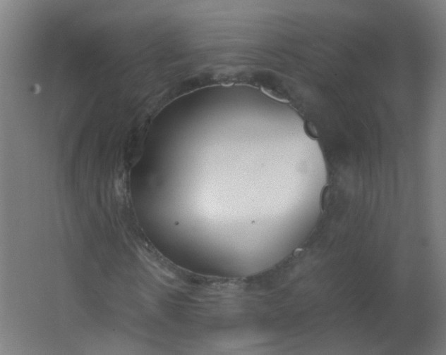 X0000063520914200602032106