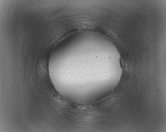 X0000063520915200602032106