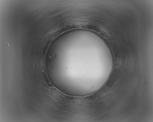 X0000063520917200602032106