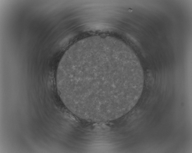 X0000063520918200602032106