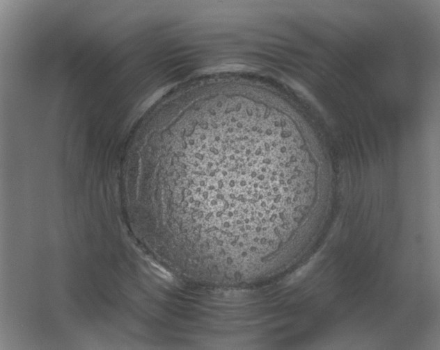 X0000063520921200602032106