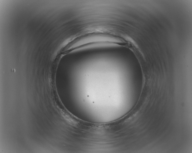 X0000063520922200602032106