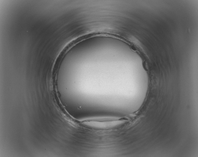 X0000063520924200602032106