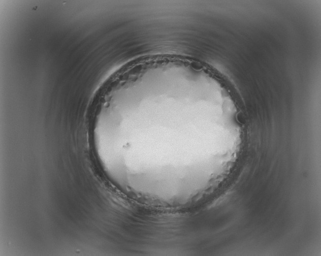 X0000063520925200602032106