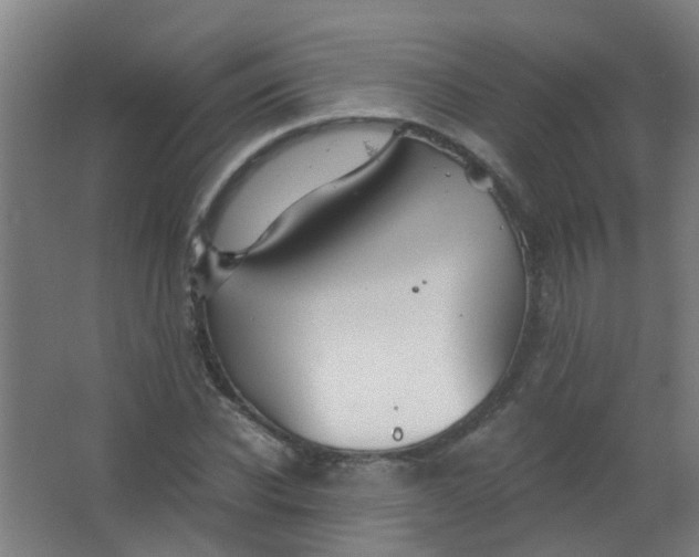 X0000063520926200602032106