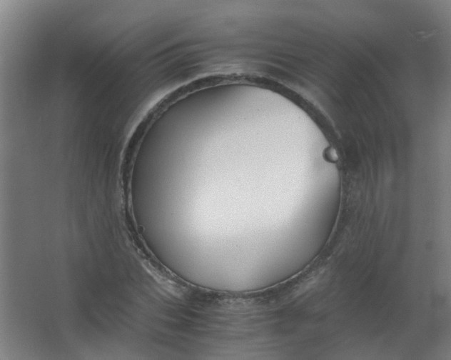 X0000063520927200602032106