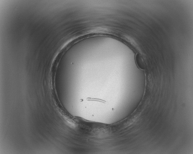 X0000063520931200602032106