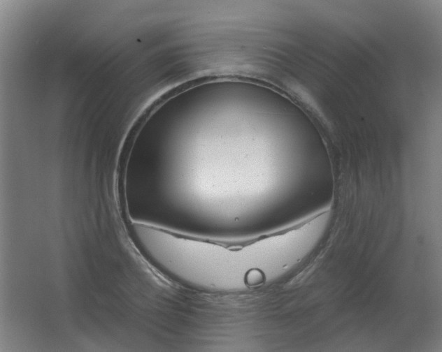 X0000063520932200602032106