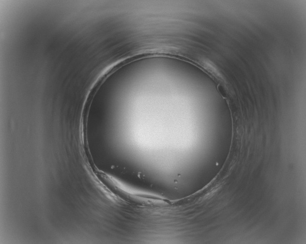 X0000063520940200602032106