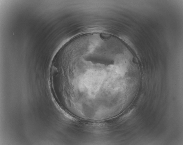 X0000063520941200602032106