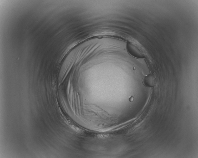 X0000063520945200602032106