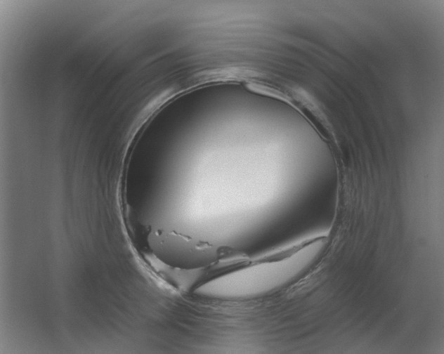 X0000063520946200602032106