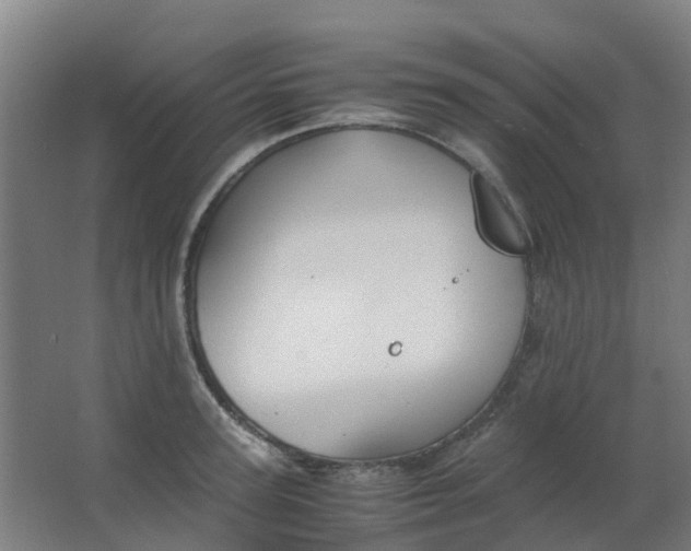 X0000063520947200602032106